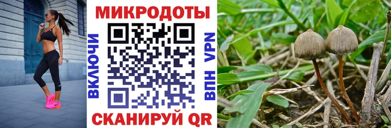 omg маркетплейс  Няндома  Псилоцибиновые грибы ЛСД  закладки 